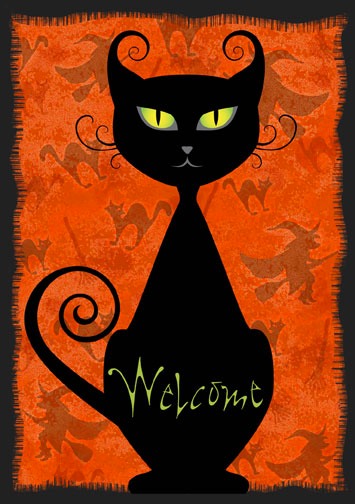 Black-Cat