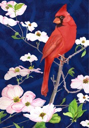Cardinal-dogwood