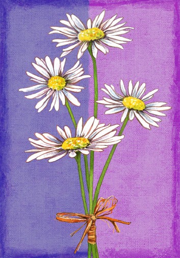 Daisies
