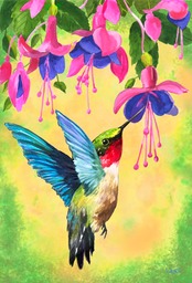 Hummingbird-Fuschsia