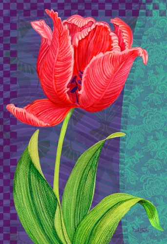 tulip